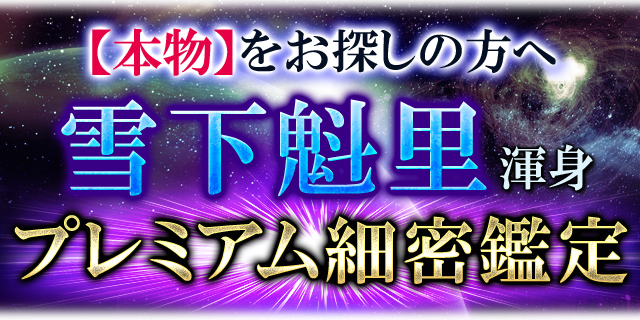【本物】をお探しの方へ 雪下魁里渾身 プレミアム細密鑑定